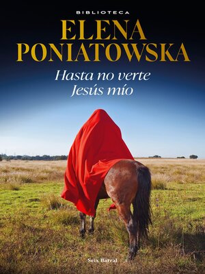 Hasta no verte Jesús mío - ebook